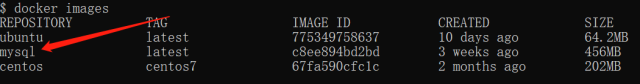 docker-mysql6