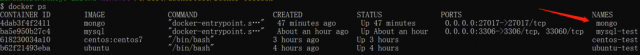 docker-mongo6