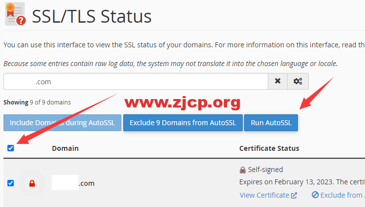 chemicloud-run-autossl